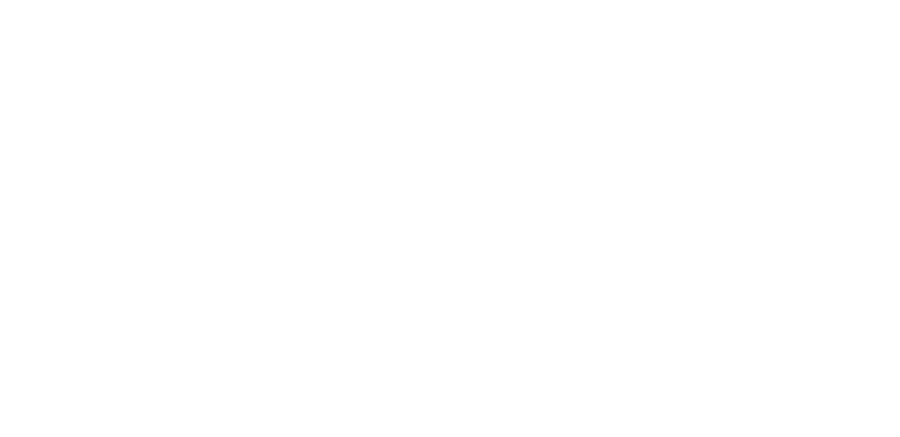 Sonde